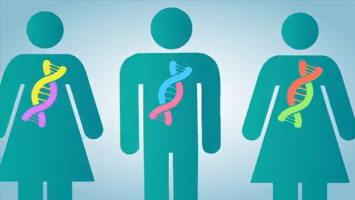 An overview of who we are and what we do